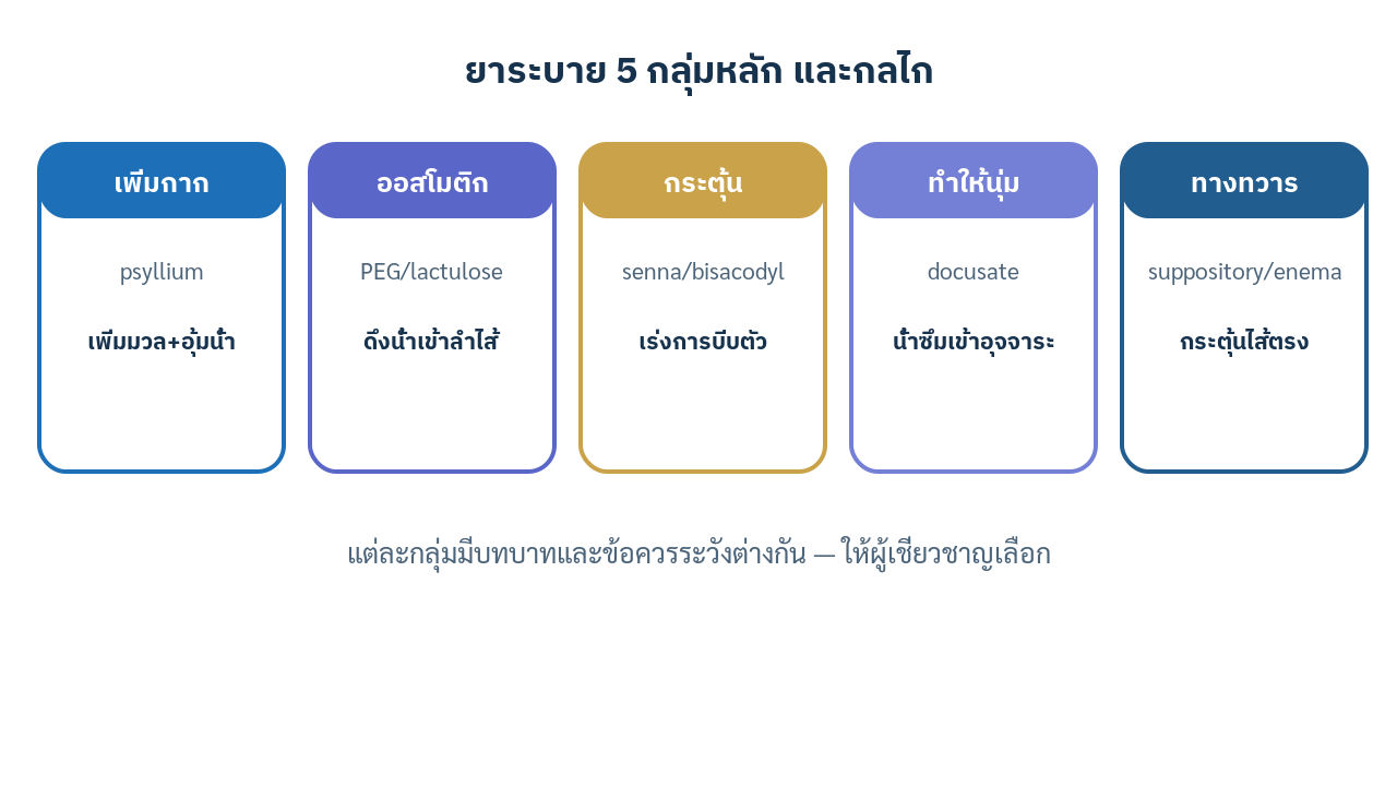 อินโฟกราฟิกยาระบายห้ากลุ่มหลักพร้อมกลไกการออกฤทธิ์